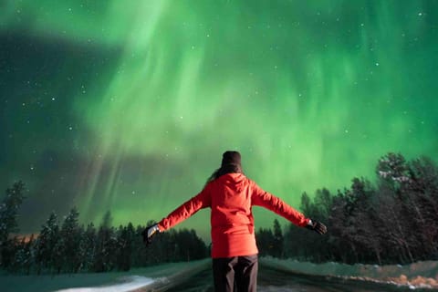 Rovaniemi: Insider-Aurora-Jagd