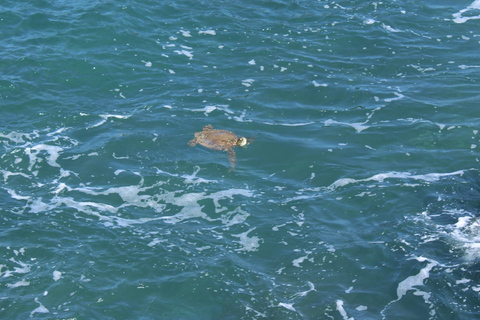 Boa Vista: The Full-Day around Boa Vista tour with Lunch