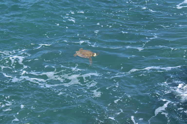 Boa Vista: The Full-Day around Boa Vista tour with Lunch