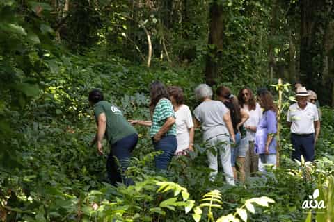 AOA Polynesian Forests - Randonnée Sanctuaire Biodiversité Tahiti