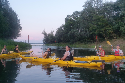 Belgrade : Aventure en kayak sur l'île de la Grande Guerre