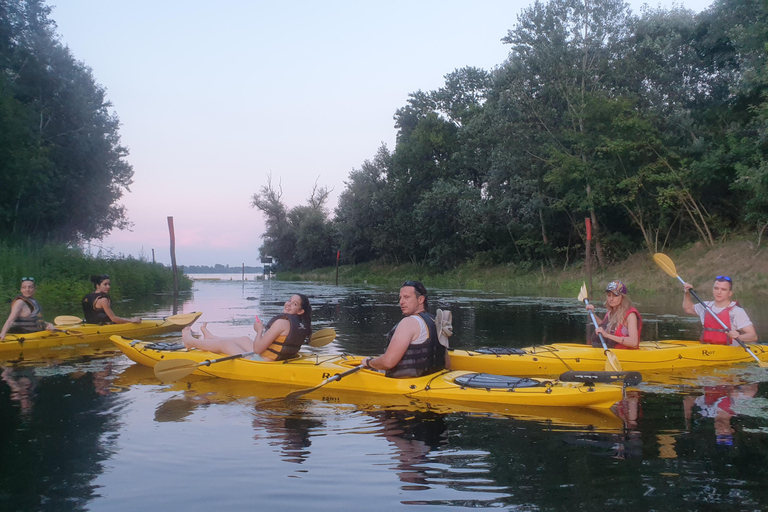 Belgrade: Great War Island Kayak Adventure