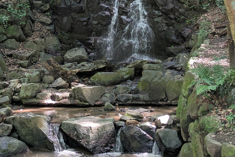 Nara: Mt. Ikoma Guided Hiking Tour with Cable Car and Views