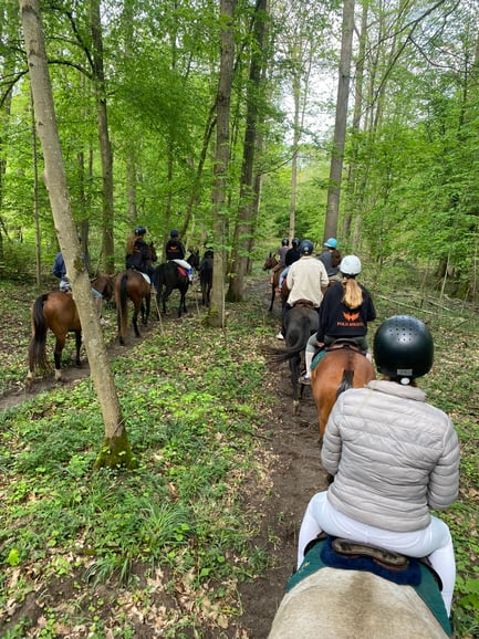 Private Horse Ride experience