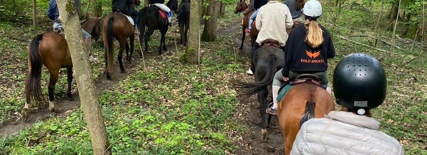 Randonnée à cheval privée