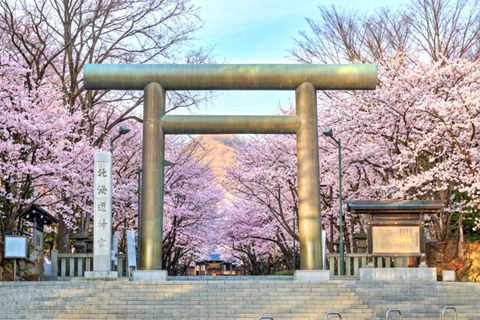 From Sapporo: Otaru and Hokkaido Shrine Day Trip Shared Tour, Meet at Odori Station