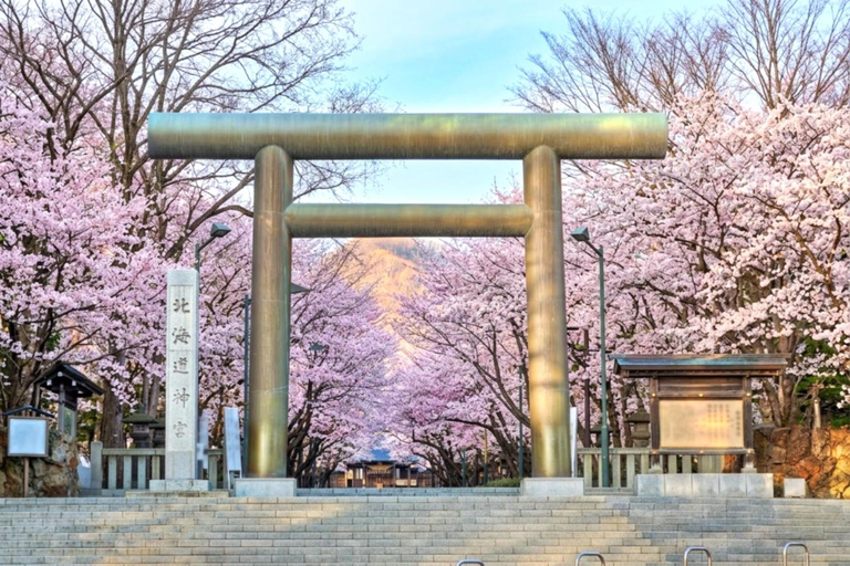 From Sapporo: Otaru and Hokkaido Shrine Day Trip Shared Tour, Meet at Sapporo Station
