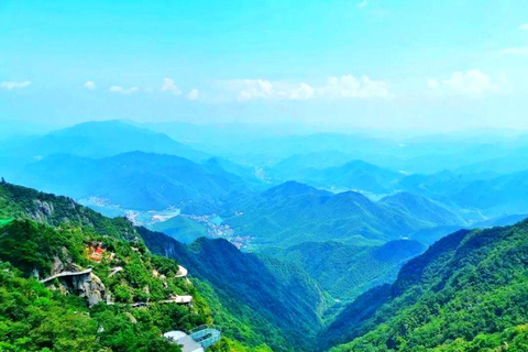 Shanghai: Crouching Tiger Bamboo Forest & White Tea Trip