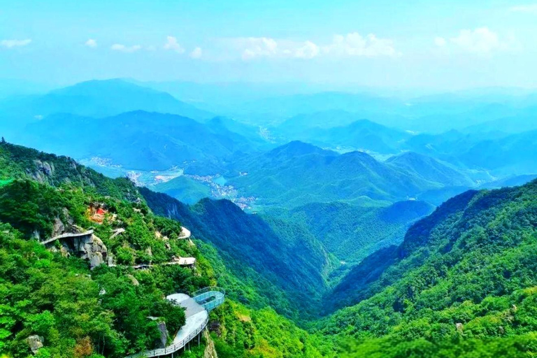 Shanghai: Crouching Tiger Bamboo Forest & White Tea Trip