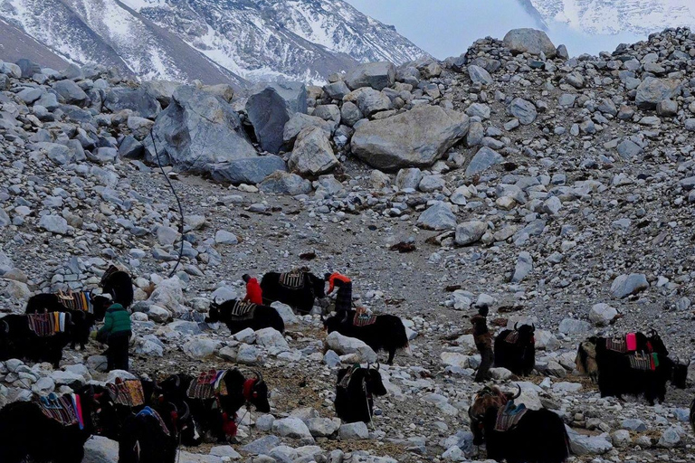 Everest Base Camp Trek 14 or 11 days All inclusive From Lukla to Lukla EBC Trek
