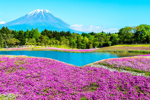 Mt.Fuji:Lake Kawaguchi,Yamanaka & Onsen Day Tour From Tokyo 8:30am pick-up at Shinjuku Station