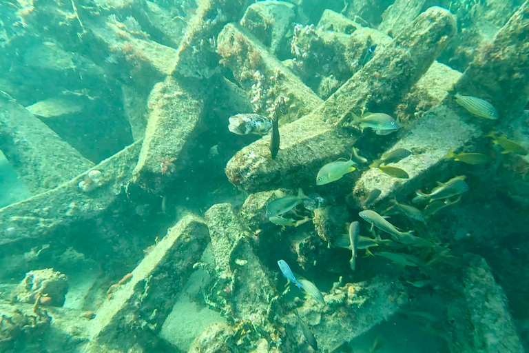 Ft Lauderdale: Combo Deal Snorkel Reefs, Kayak/SUP Mangroves