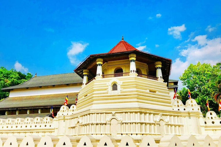 Kandy: City Tour by Tuk Tuk with Local Food Stop