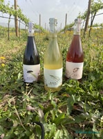 Vins naturels Quinta da Raza - Hizvo