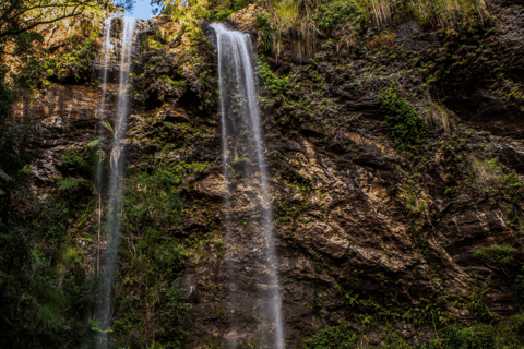 Spring Brook National Park Driving Tour with an APPSpring Brook National Park Self Guided Driving Tour