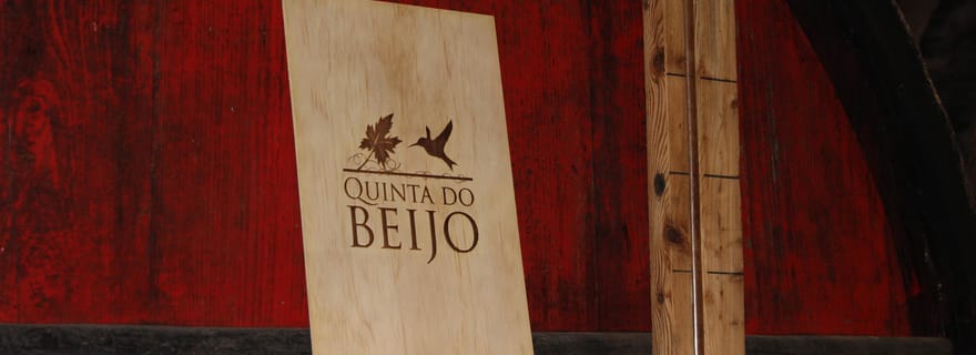 Douro : Dégustation de vins et de tapas de qualité supérieure