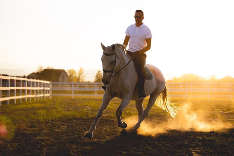 Belgrade: Epic Forest Horseback Riding Tour