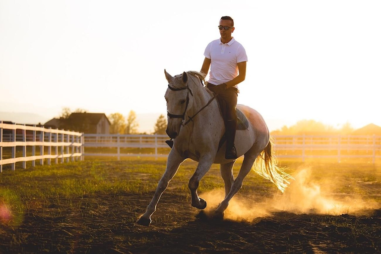 Belgrade: Epic Forest Horseback Riding Tour