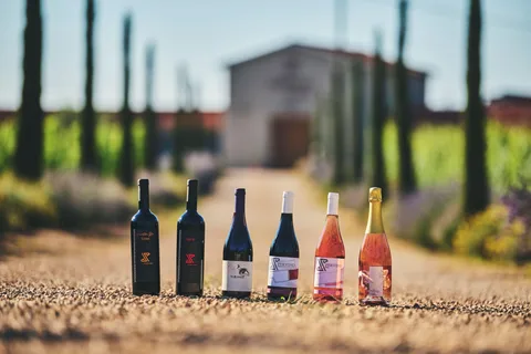 Istrie : Dégustation de vin de Pervino
