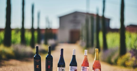 Istrien: Pervino Weinverkostung