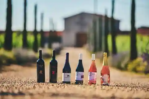 Istrien: Vinprovning i Pervino