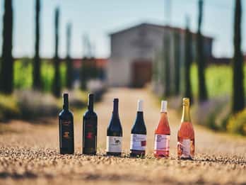 Istria: Degustazione di vini Pervino
