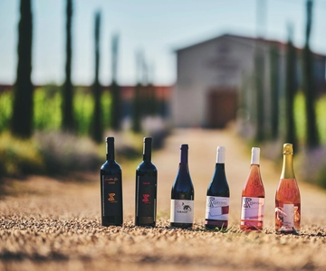 Istria: Degustazione di vini Pervino