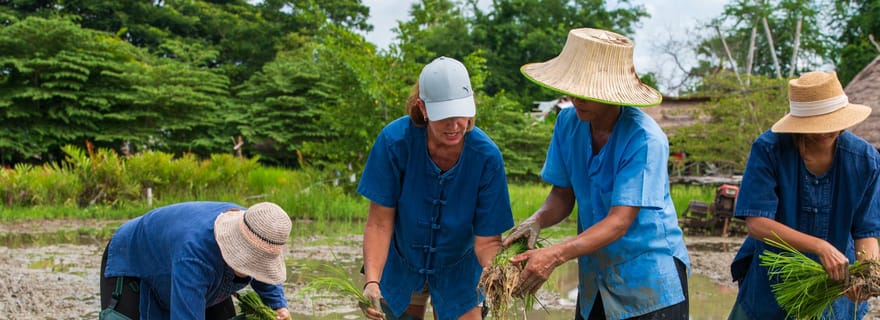 Hua Hin : expérience rizière avec déjeuner à Phetchaburi