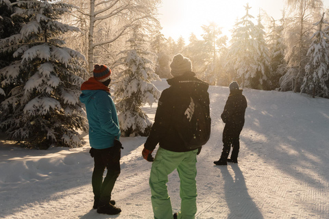 Rovaniemi: ciaspolate nella natura selvaggia dell&#039;Artico