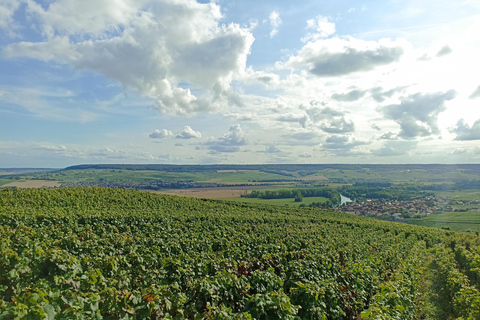 من باريس كاتدرائية ريمس وقبو الشمبانيا وتذوق الشمبانيا