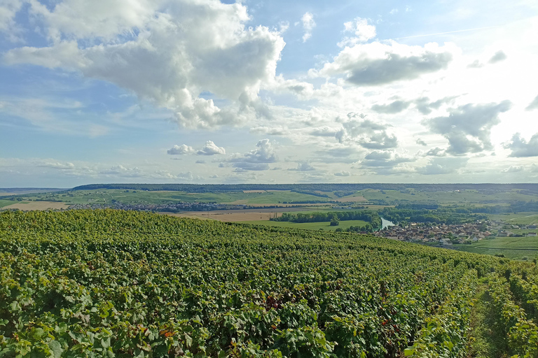 من باريس كاتدرائية ريمس وقبو الشمبانيا وتذوق الشمبانيا