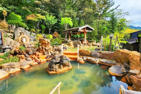 Sapporo : Excursion d'une journée au lac Toya, au parc du mont Yoteisan et aux sources d'eau chaudeLieu de rendez-vous à la gare de Sapporo