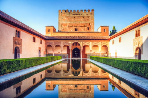 Granada: Alhambra & Nasrid Palaces Tour with Tickets Private Tour in Italian