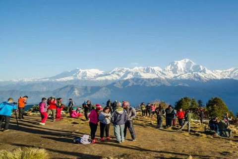 Desde Pokhara: Excursión privada de 4 días a Poon Hill con guíaTour privado con comidas incluidas.