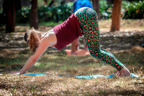 Mexico : cours de yoga dans le parc Chapultepec avec bain sonoreMexico : cours de yoga au parc Chapultepec avec bain sonore
