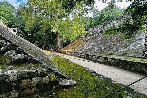 From Cancun: Coba Ruins and Punta Laguna Day Trip