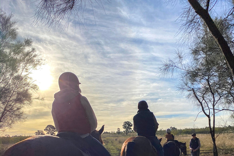 Hunter Valley: Sunset Horse Riding Tour 90min