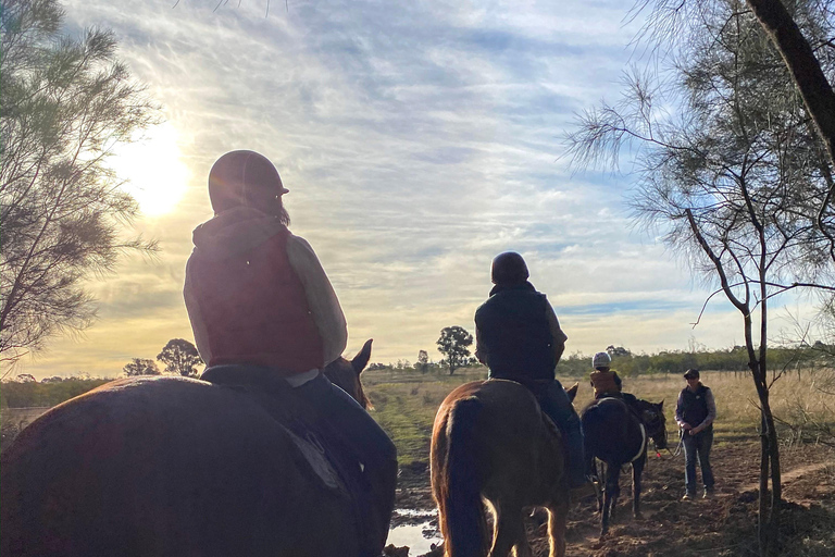 Hunter Valley: Sunset Horse Riding Tour 90min