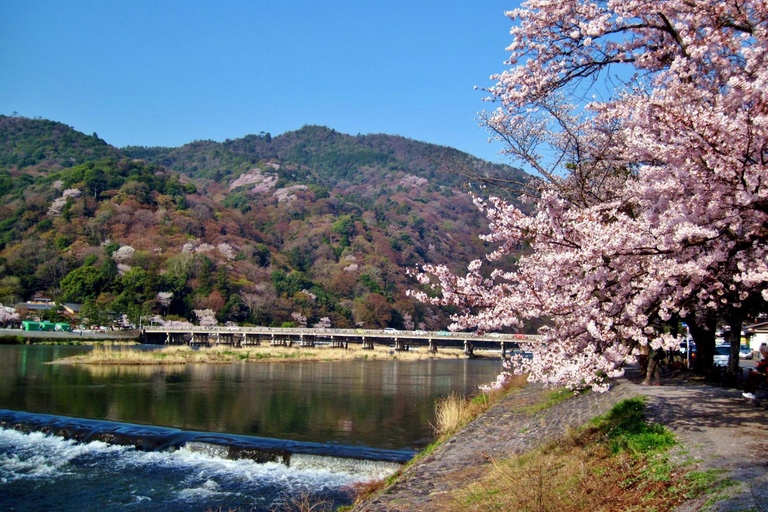 From Nagoya: Kyoto Day Tour with Kobe Beef Shabu-Shabu Lunch