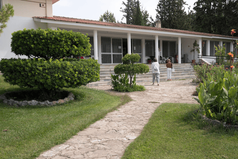 Visite privée de luxe : Sites antiques de Némée et dégustation de vin