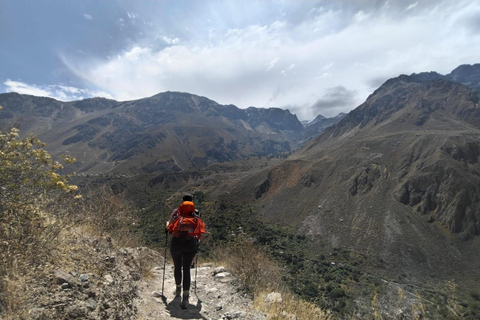 Colca Canyon Llahuar Trekking 3 Days