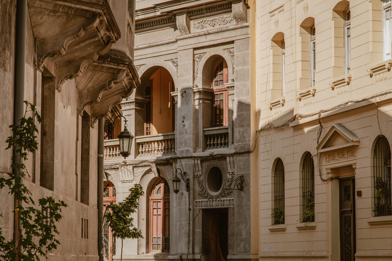 Santiago de Chile: 100% private photo tour, full day