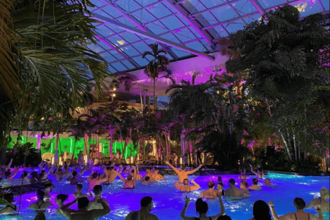 Official Therme Bucharest Entry Ticket – All Areas Access Therme Bucharest The Palm Ticket – Full Day