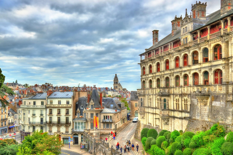 Loire Valley Château of Blois & Wine Tasting Experience