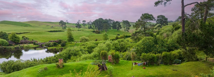 Depuis Auckland : visite d'une journée du lieu de tournage du Hobbit avec pique-nique
