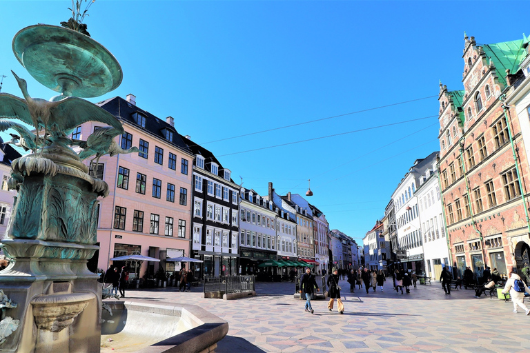 Copenaghen: Tour guidato in bicicletta in francese con bici propria