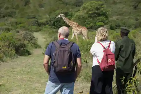 A Day in Arusha National Park - Single-Day Trip