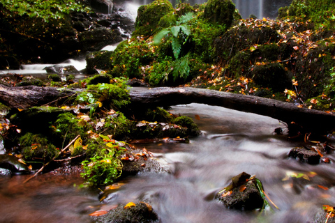Cardiff: Brecon Beacons, Castle, and Waterfalls Day Trip