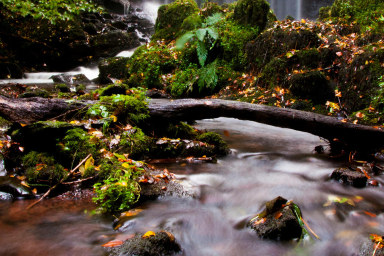 Cardiff: Brecon Beacons, Castle, and Waterfalls Day Trip