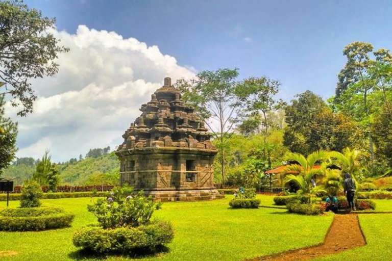 Yogyakarta; waterval en terrasvormige rijstvelden